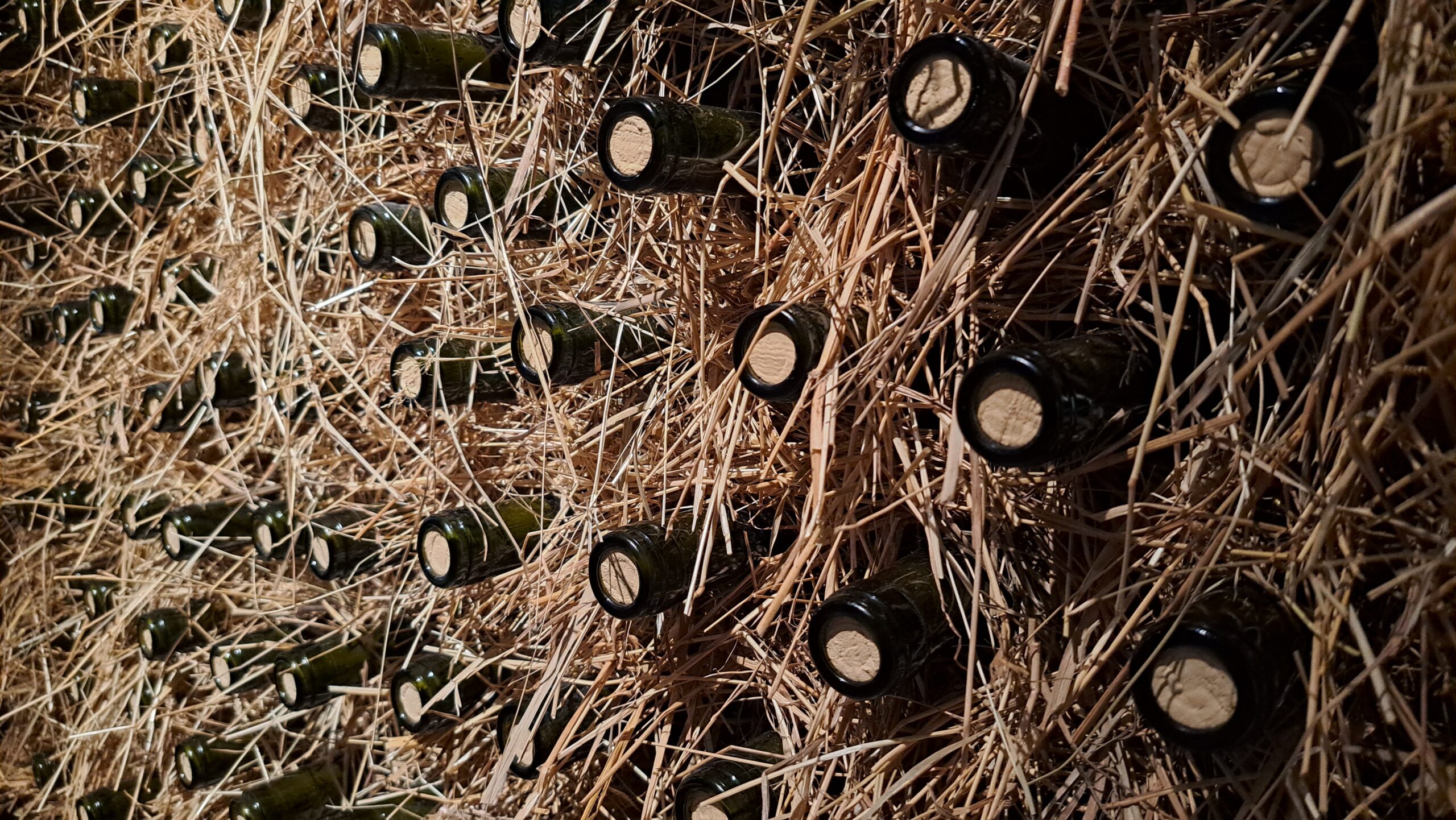 Nuotrauka daryta Dubrovniko vyno muziejuje